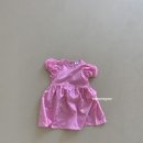 벌룬플라워 이미지