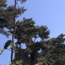 괴산 성불산 이미지