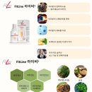 아이비라인 이미지