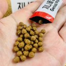 진라이프 이미지