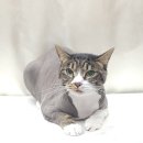 청라원 이미지