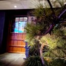 세븐일레븐 천안성정중앙점 | 천안 아산 가볼만한곳 실내 데이트 감성 료칸 호텔 요수리구리 호캉스 후기