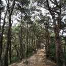 덕음정 Daum카페