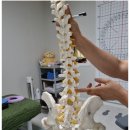 엘린바른자세연구소