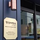 멍냥멍냥 미용실 이미지