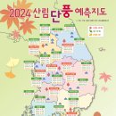 270-5044 | 2024 가을 단풍 절정 시기 및 관광 명소 추천 Best 5