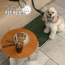 후암동 리트하우스 애견동반 가능 카페｜서울역 근처 브런치 베이커리 맛집