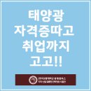 태양취업정보 이미지