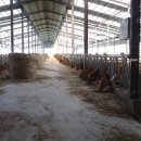 계화농장 이미지