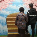 별빛랜드 이미지