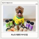 강아지빵 | [뉴트리플랜 라이트팝] 강아지 빵튀기 햅쌀간식, 바삭한 저칼로리 강아지간식 후기