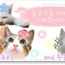 금동살롱 이미지