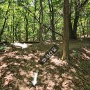 [세종여행] 김종서 장군 역사여행을 하며 오르는 세종 국사봉 환종주 산행 후기