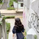 아브헤어 이미지