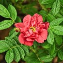 가나유치원 이미지