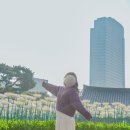 31140-8-26-17 | 서울 홍매화 명소 봉은사 실시간 개화 현황 포토존 후기 (26년 3월 17일 화요일 오전 8시 방문)