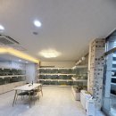 노이펫 강아지 고양이분양 춘천점 이미지