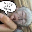 햇님 달님 이미지