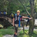 상관편백숲길 이미지