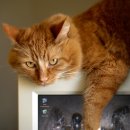 영남철물 이미지