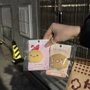 에바다유리 이미지