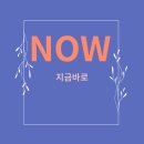 만안평생교육센터_하 | 전라도 5월 축제 총정리 | 장미·라벤더·우주체험까지 봄나들이 추천