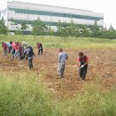 철로변녹지대 이미지