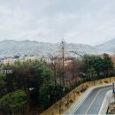 2월 일상 평범한듯 아닌듯 그냥 그런날이었던 한달!