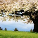 삼라만상 이미지