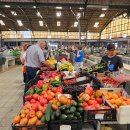 오비도스 이미지