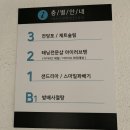아이러브아이래쉬