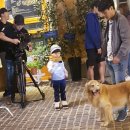 스터디독스쿨 이미지