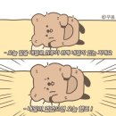 시에라오리지널