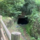 사라봉 | [ 제주 ] 사라봉 전망대 등산 후기