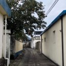 주수1리 이미지