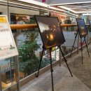 수원-0261 이미지