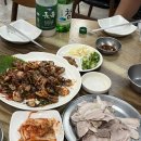 대포쏘는날 이미지