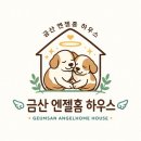 충남 금산 유기동물 보호소 봉사 후기 자꾸 발길이 가는 곳, 엔젤홈 하우스