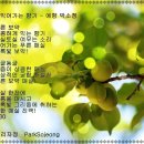 매실향기 이미지