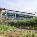 산막마을회관 이미지