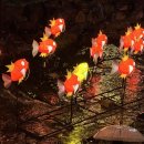 (주)다올코리아 | 청계천 잉어킹 구경