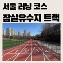 유수지공원주차장 화장실 | [서울 러닝 코스] 잠실유수지공원 400m 트랙ㅣ주차 및 이용방법