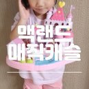 [맥랜드 매직캐슬] 자석으로 움직이는 인형의집 여아 역할놀이 장난감 추천