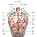 손,발지압/혈자리 사진으로 한눈에 보는 손지압법 이미지