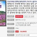 금강투어