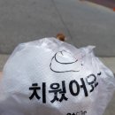 펫아이맘