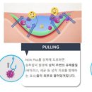 위드연의원 이미지