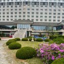 코모도호텔경주실외수영장 이미지