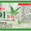 울릉도식품 이미지