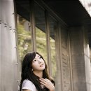 데이라이트 이미지